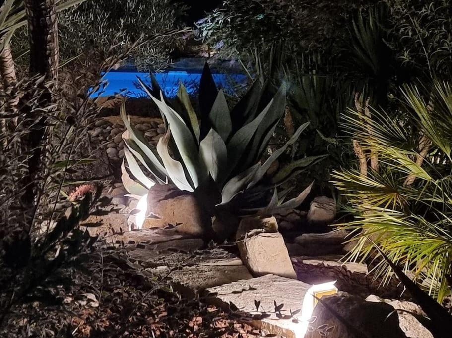 Une Oasis Au Pays De Cezanne Екс ан Прованс Екстериор снимка